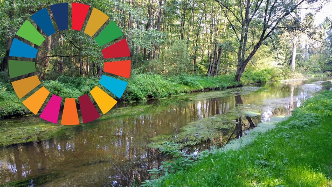 2023-05-22 - Tag der biologischen Vielfalt.jpg