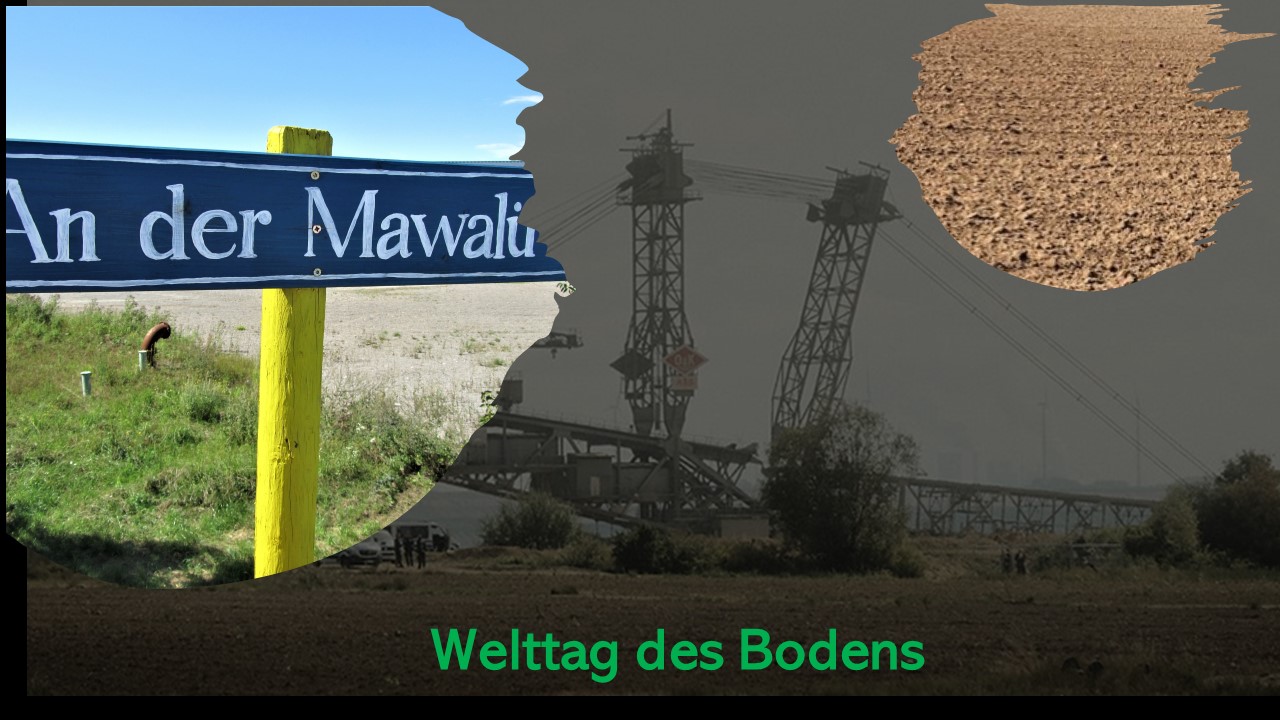 Welttag des Bodens 3.jpg